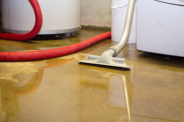 Best Sewage cleanup and water damage restoration  in Dumas, TX