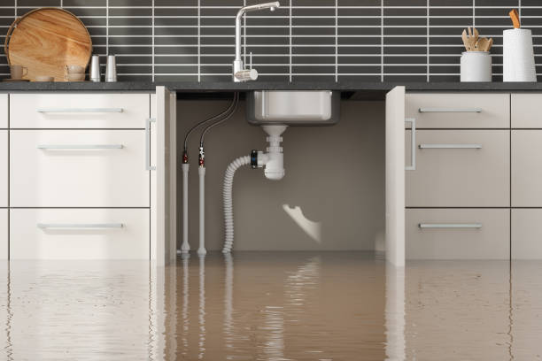 Best Professional water damage repair  in Dumas, TX